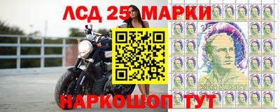 гидра Краснокаменск