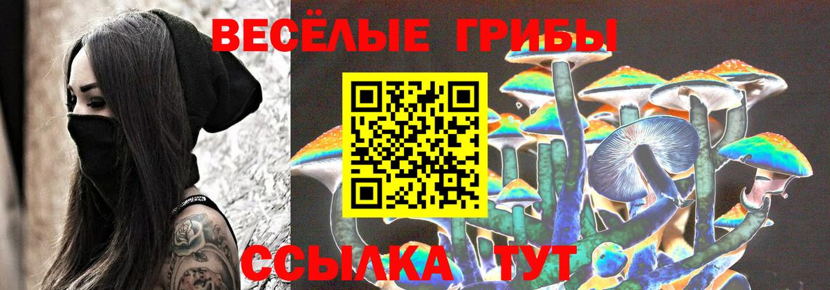 Псилоцибиновые грибы Magic Shrooms Кингисепп
